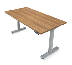 Virtual Classroom Standing Desk